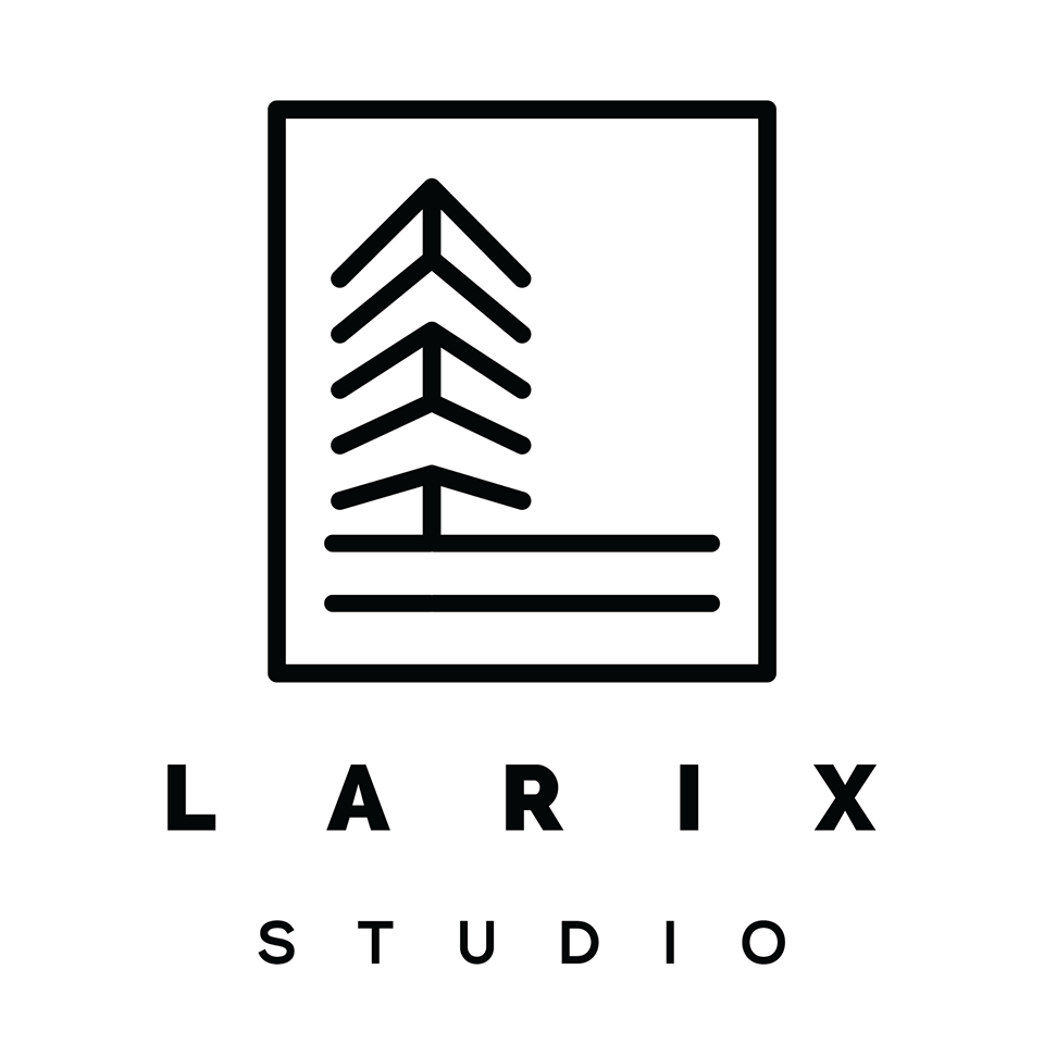 http://www.larixstudio.ro/arhitectura/